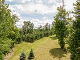 453 Gold Mine Rd - Photo 12