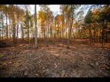 Lot 130 Clearwater Lake Tr - Photo 10