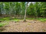 Lot 130 Clearwater Lake Tr - Photo 12