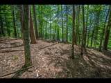 Lot 130 Clearwater Lake Tr - Photo 15
