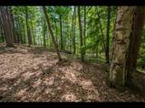 Lot 130 Clearwater Lake Tr - Photo 16