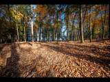 Lot 130 Clearwater Lake Tr - Photo 6