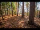 Lot 130 Clearwater Lake Tr - Photo 8