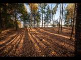 Lot 130 Clearwater Lake Tr - Photo 9