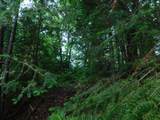 N9009 Deer Tr - Photo 14