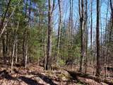 Off Spring Camp Rd - Photo 17