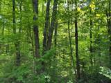 Off Spring Camp Rd - Photo 18