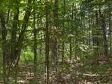 Off Spring Camp Rd - Photo 19