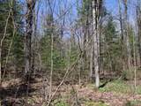 Off Spring Camp Rd - Photo 21