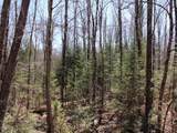 Off Spring Camp Rd - Photo 25
