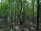 Off Spring Camp Rd - Photo 27