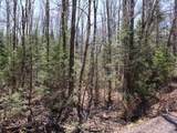 Off Spring Camp Rd - Photo 29