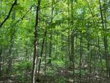 Off Spring Camp Rd - Photo 9