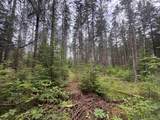 Pinelake Pine Lake Rd - Photo 5