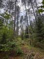 Pinelake Pine Lake Rd - Photo 6