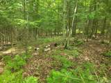 Lot 9 Buck Ridge Dr - Photo 3