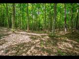 Lot 133 Clearwater Lake Tr - Photo 12