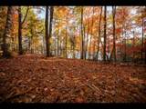 Lot 133 Clearwater Lake Tr - Photo 7