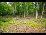 Lot 133 Clearwater Lake Tr - Photo 9