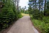 Lot Blue Goose Rd - Photo 32