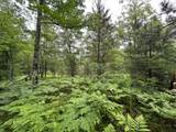 Lot 5 Dads Lake Rd - Photo 2