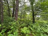 Lot 6 Dads Lake Rd - Photo 2
