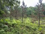 Lot 6 Dads Lake Rd - Photo 4