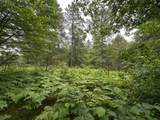 Lot 14 Dads Lake Rd - Photo 2
