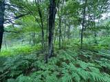 Lot 16 Dads Lake Rd - Photo 2