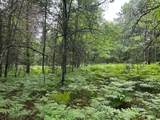 Lot 16 Dads Lake Rd - Photo 3
