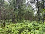 Lot 19 Dads Lake Rd - Photo 5