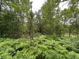 Lot 20 Dads Lake Rd - Photo 2