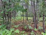 Lot 21 Dads Lake Rd - Photo 5