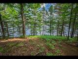 Lot 134 Clearwater Lake Tr - Photo 1
