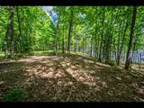 Lot 134 Clearwater Lake Tr - Photo 12