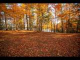 Lot 134 Clearwater Lake Tr - Photo 5