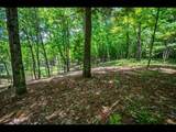 Lot 134 Clearwater Lake Tr - Photo 7
