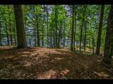 Lot 134 Clearwater Lake Tr - Photo 8