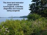 7010 Long Lake Rd - Photo 20