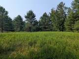 7010 Long Lake Rd - Photo 23