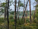 7010 Long Lake Rd - Photo 24