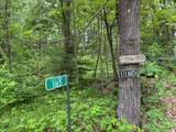 1160 Thompson Ln - Photo 47