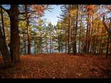 Lot 135 Clearwater Lake Tr - Photo 1