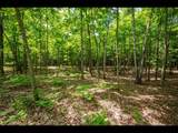 Lot 135 Clearwater Lake Tr - Photo 10