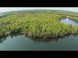 Lot 135 Clearwater Lake Tr - Photo 13