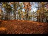 Lot 135 Clearwater Lake Tr - Photo 3
