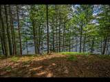 Lot 135 Clearwater Lake Tr - Photo 4