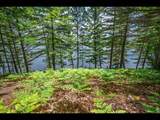 Lot 135 Clearwater Lake Tr - Photo 6