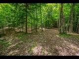 Lot 137 Clearwater Lake Tr - Photo 10