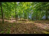 Lot 137 Clearwater Lake Tr - Photo 12